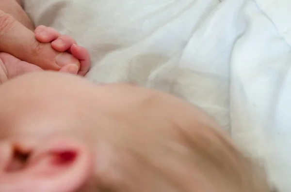 Mano Del Bebé Recién Nacido Sosteniendo Dedo Del Adulto Masculino Fotos de stock