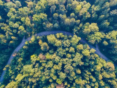 İsviçre 'de ormandan geçen yolun havadan görünüşü