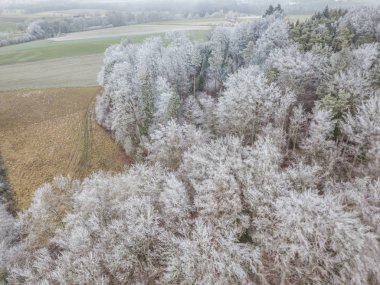 Soğuk kış günlerinde ağaçların kumla kaplı havadan görünüşü. 