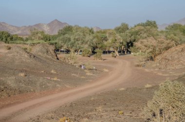 Yeşil ağaçlı Umman 'daki vahada toprak yol.