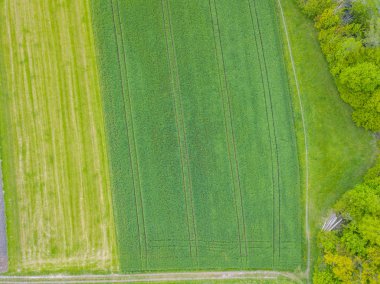Avrupa 'daki tarım alanının genel görünümü.