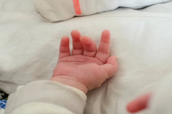 Small Hand Newborn Baby Infant Fingers Palm — Stock Photo, Image