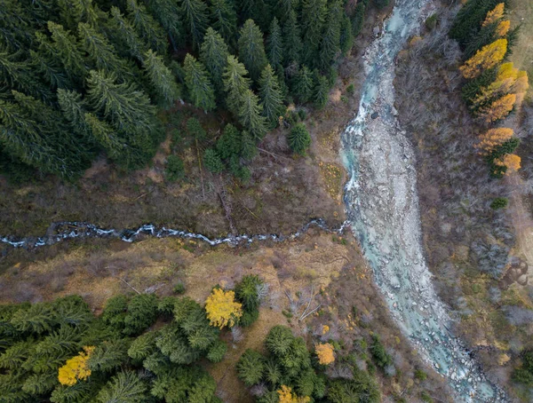 Aerial View Gorge Mountain Area River Forest — Stock Photo, Image