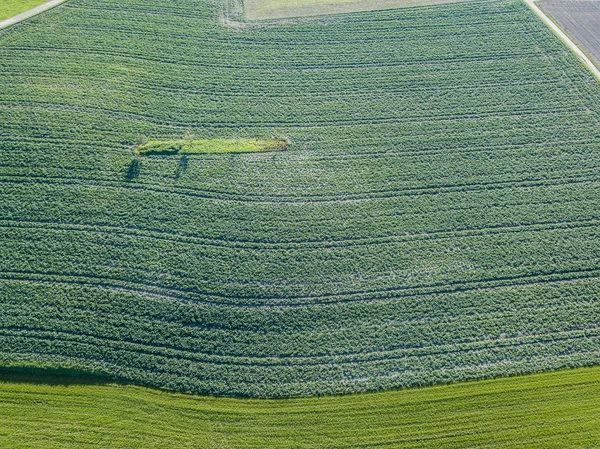 Overhead View Agricultural Field Europe — Stock Photo, Image