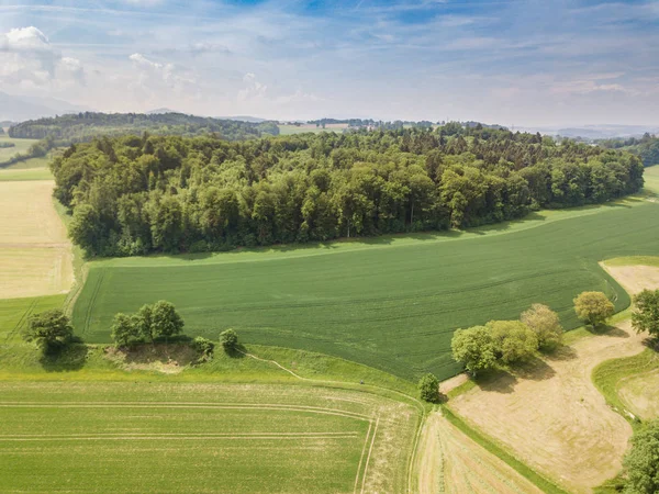 Pemandangan Pedesaan Swiss Dapat Dilihat Dari Udara — Stok Foto