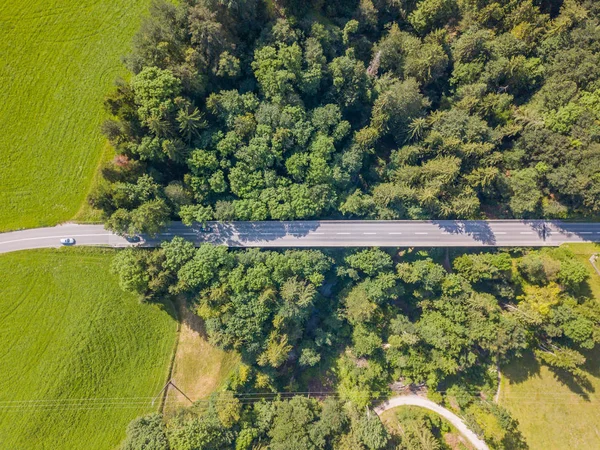 Vista Aérea Ponte Rodoviária Através Densa Floresta Verde Suíça — Fotografia de Stock