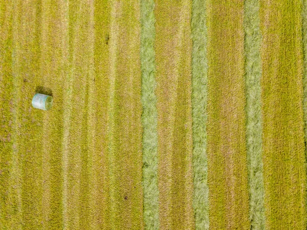 Aerial View Hay Bale Switzerland — Stock Photo, Image