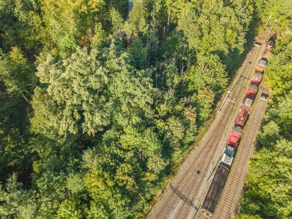 Aerial view of rail tracks through forest