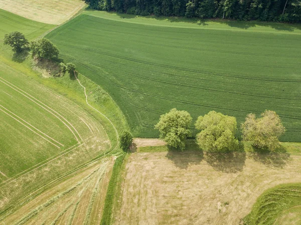 Aerial View Forest Rural Landscape Switzerland — 스톡 사진