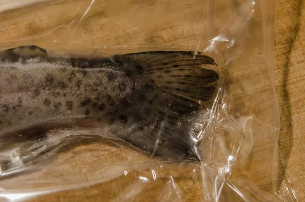 Pescado Trucha Arco Iris Sellado Congelado Embalaje Plástico —  Fotos de Stock