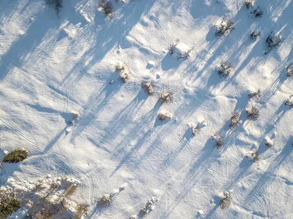 Aerial View Snow Covered Fields Bushes Switzerland — 스톡 사진
