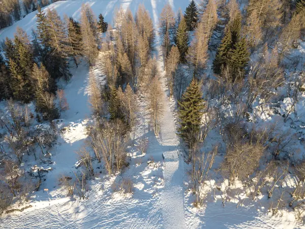 Flygfoto Över Snötäckt Dal Med Skog Och Stig — Stockfoto