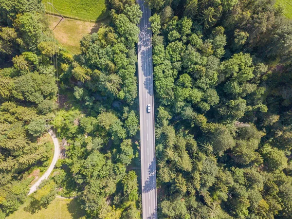 Aerial View Road Bridge Dense Green Forest Switzerland — Stockfoto