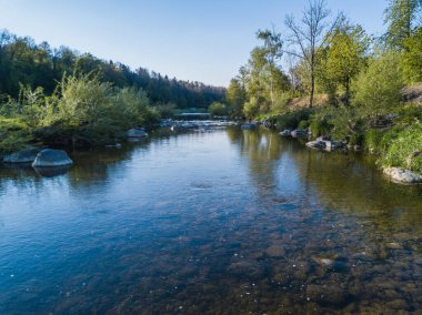 İsviçre 'de sakin göl kıyısında ağaçlar