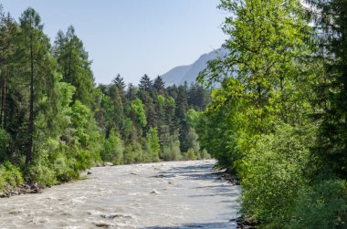 Yeşil ağaçlarla bembeyaz bir arazide Hanın Nehri manzarası 