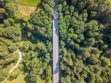 İsviçre dağlarındaki ormandaki yol manzarası