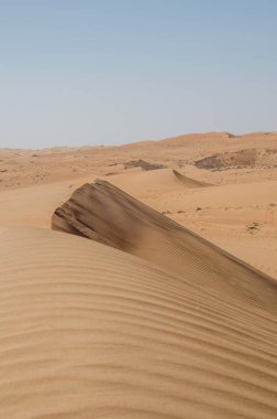 Wahiba çölünde rüzgar desenli kum tepeleri