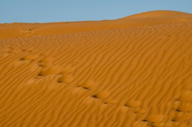 Wahiba çölünde rüzgar desenli kum tepeleri