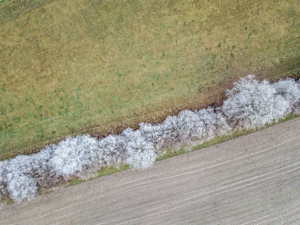 Luftaufnahme Von Bäumen Die Kalten Wintertagen Mit Raureif Bedeckt Sind — Stockfoto