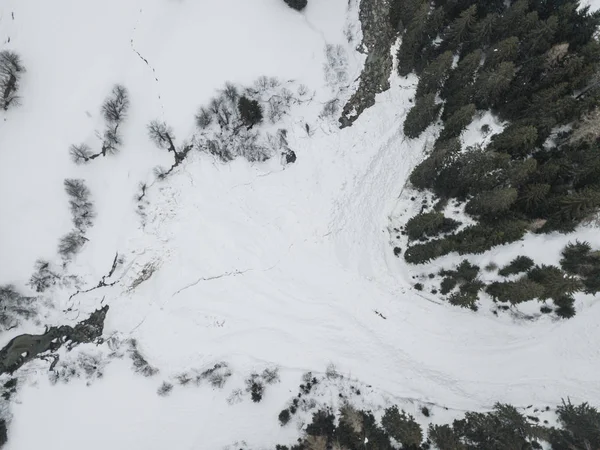 Luftaufnahme Von Tannen Schneebedeckter Winterlandschaft — Stockfoto
