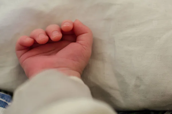 Yeni Doğmuş Bir Bebeğin Küçük Eli Bebek Parmakları Avuç Içi — Stok fotoğraf