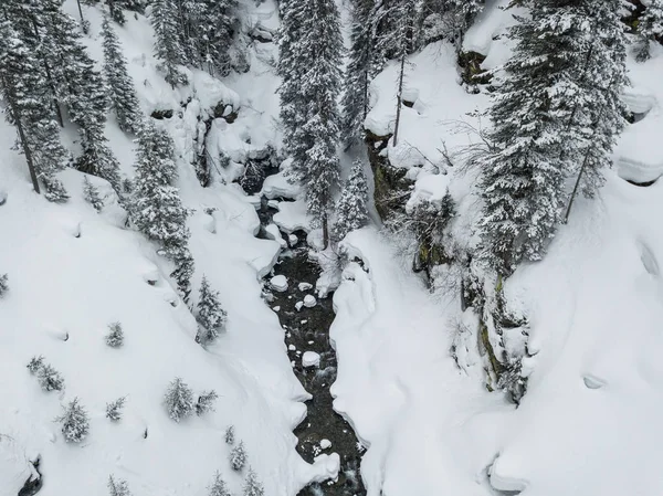 Vista Aérea Rio Thorugh Floresta Coberta Neve Cena Calma — Fotografia de Stock