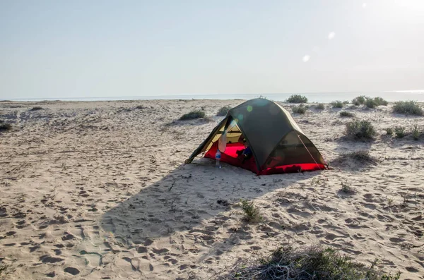 オマーンの砂浜での野生のキャンプ — ストック写真