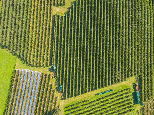 Overhead view of agricultural field in Europe.