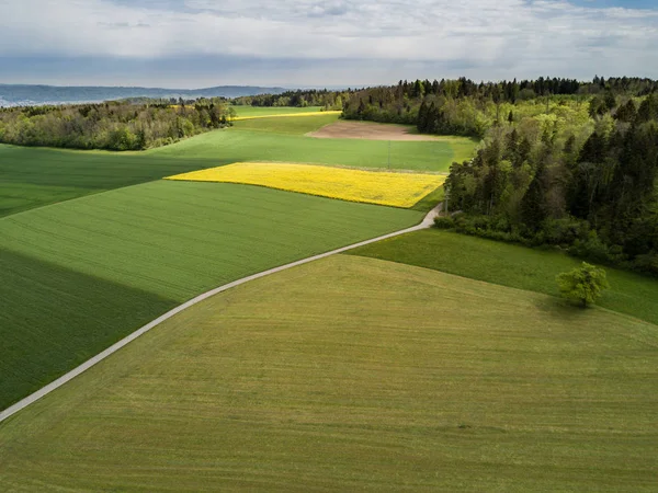 Вид Сверху Сельскохозяйственное Поле Европе — стоковое фото