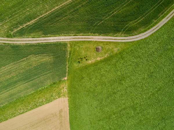 Вид Воздуха Дорогу Зеленых Полях — стоковое фото
