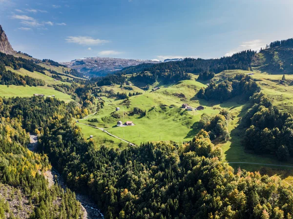 Pemandangan Udara Hutan Dan Area Terbuka Swiss Dari Atas Tenang — Stok Foto