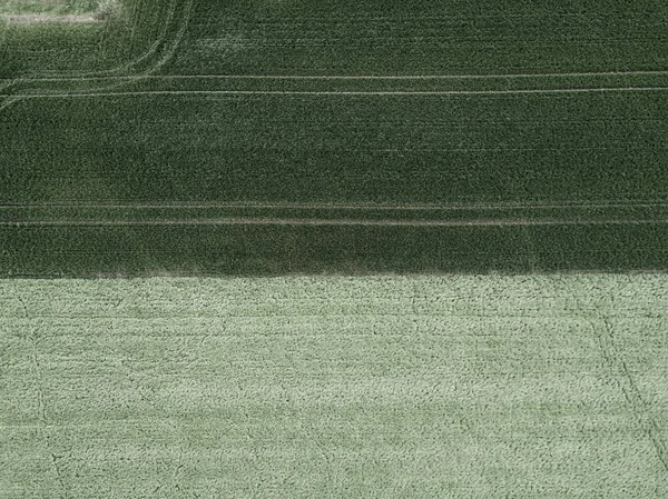 Vista Aérea Del Campo Agrícola — Foto de Stock