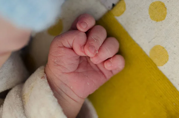 Small Hand Newborn Baby Infant Fingers Palm — Stock Photo, Image