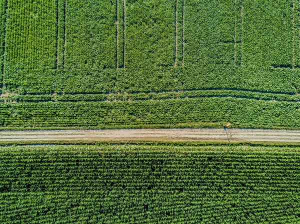 Vista Aérea Estrada Pela Paisagem Rural Com Arbustos — Fotografia de Stock
