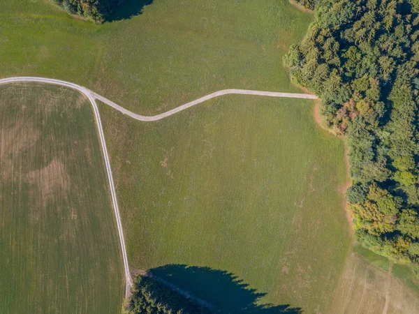 Aerial View Path Trough Forest Switzerland — Stok fotoğraf