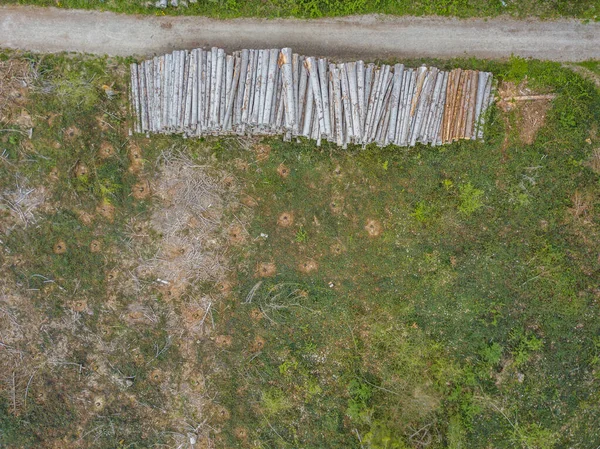木材のログのスタックの空中ビュー 森の中の木の山 — ストック写真