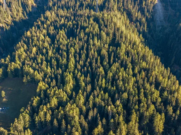 Pemandangan Udara Hutan Daerah Pegunungan Swiss — Stok Foto