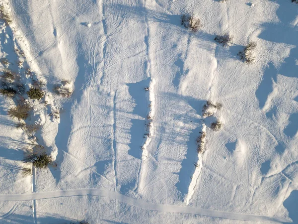 Αεροφωτογραφία Του Χιονιού Καλύπτονται Πεδία Θάμνους Στην Ελβετία — Φωτογραφία Αρχείου