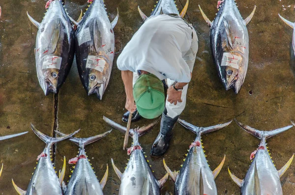 Overhead Melihat Pasar Ikan Jepang Dengan Ikan Tuna — Stok Foto