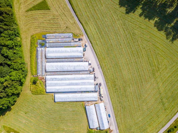 Aerial View Greenhouse Installation Plant Nursery Rural Area Roof Greenhouse — 图库照片