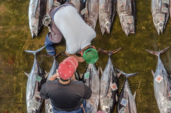 Overhead Melihat Pasar Ikan Jepang Dengan Ikan Tuna — Stok Foto