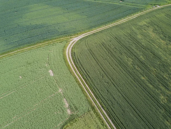 Вид Воздуха Дорогу Через Поля — стоковое фото