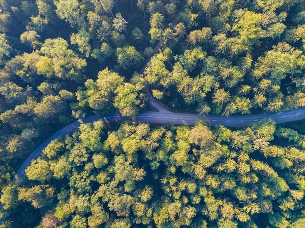 Pemandangan Udara Jalan Melalui Hutan Swiss — Stok Foto
