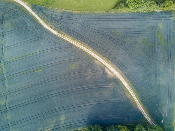 Вид Дороги Воздуха Через Синее Поле — стоковое фото