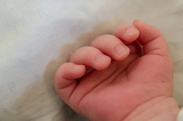 Mano Pequeña Del Bebé Recién Nacido Dedos Palma Del Bebé — Foto de Stock