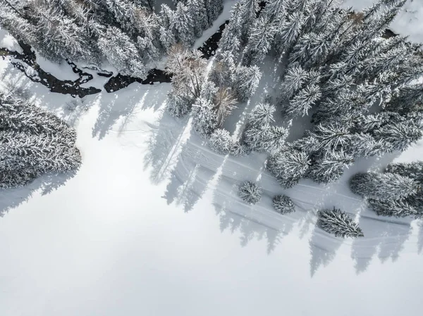 Flygfoto Snötäckta Granar — Stockfoto