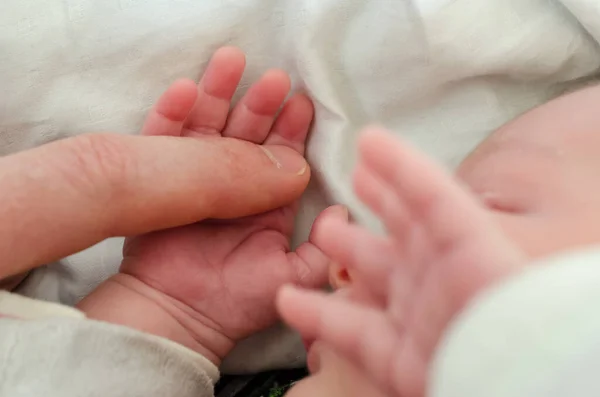 Mano Del Bebé Recién Nacido Sosteniendo Dedo Del Adulto Masculino — Foto de Stock