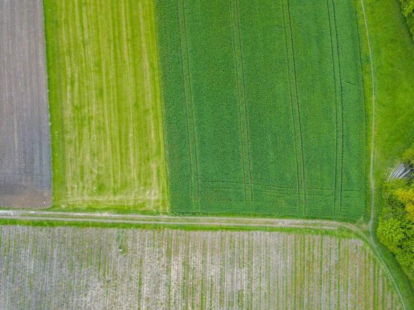 Vista General Del Campo Agrícola Europa — Foto de Stock