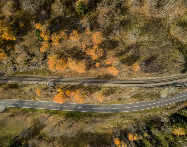 Luftaufnahme Des Waldpanoramas Ländlicher Landschaft — Stockfoto