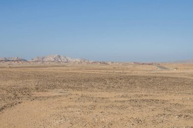 Deserted shrubland in Oman on backgroun